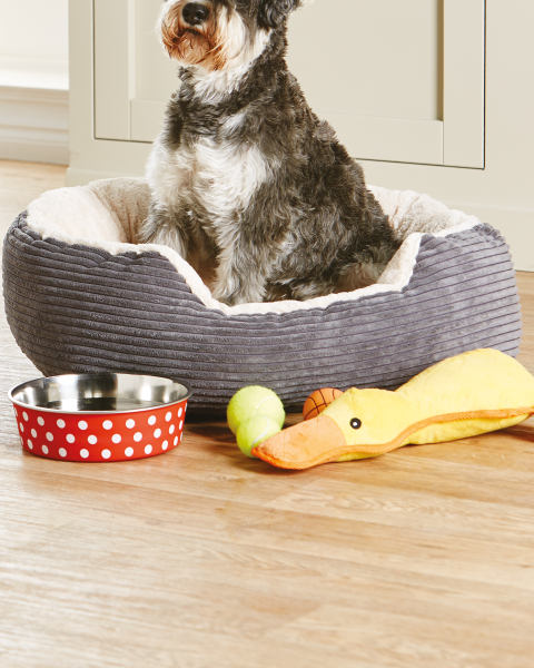Pet Collection Dog Tennis Balls 3-Pk