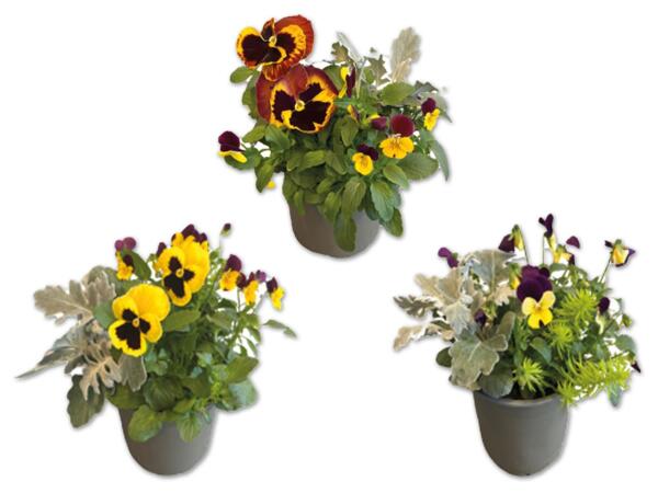 Herbst Trio