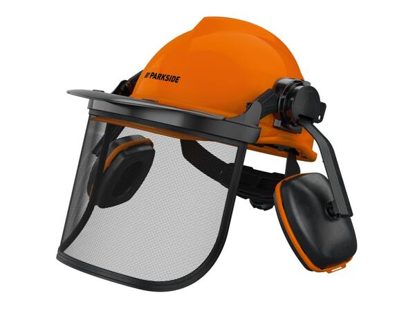 Forestry safety helmet