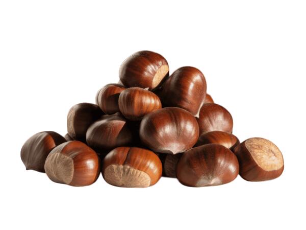Esskastanien