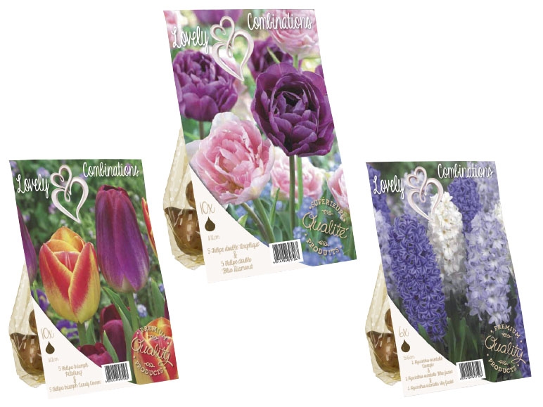 Lovely Combination Bulbs