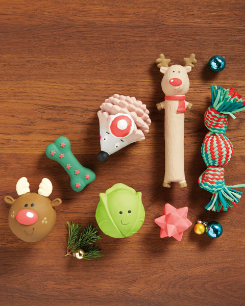 Ball Cracker & Bone/Star Pet Toy
