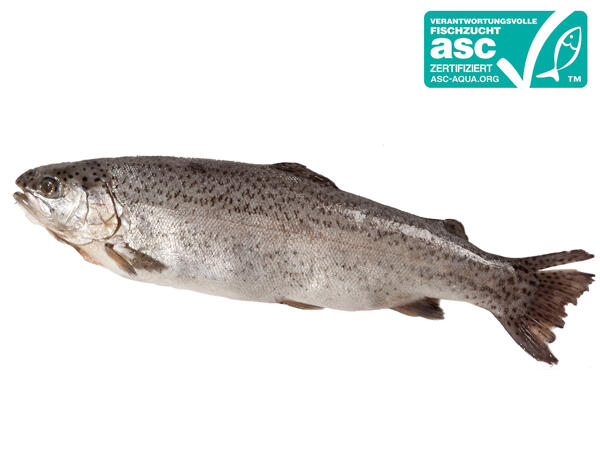 ASC Frische Forelle