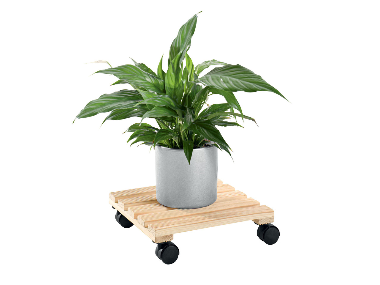 Plant Roller