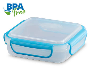 Sandwich Containers