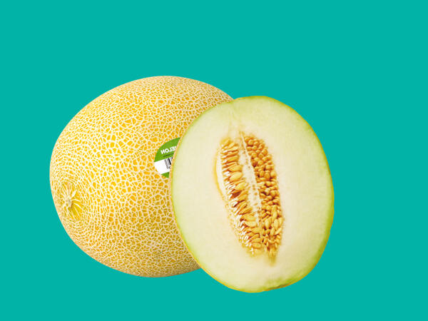Galia Melon