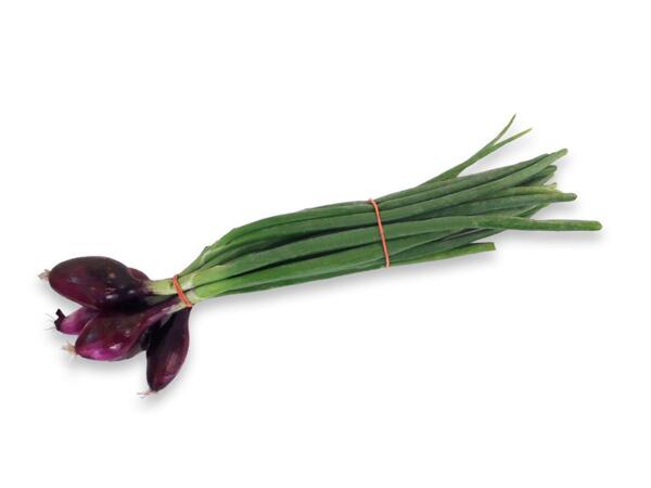 LAHŮDKOVÁ CIBULE ČERVENÁ