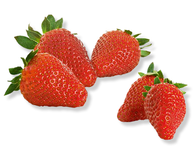 Fraises premium