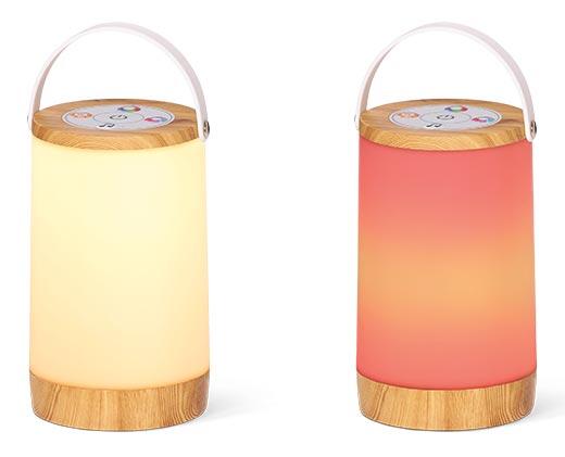 CASALUX Dimmable Table Lantern