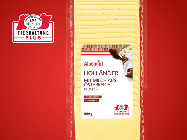 Käse nach Holländer Art