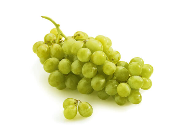 Raisins blancs avec pépins
