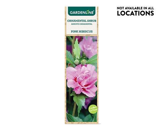 Gardenline Ornamental Shrub Assorted Varieties