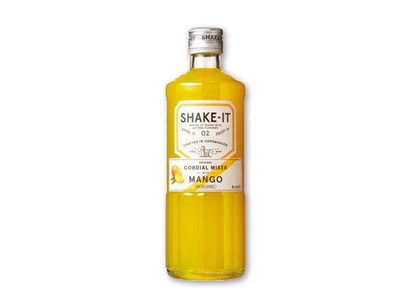 SHAKE IT Mixer