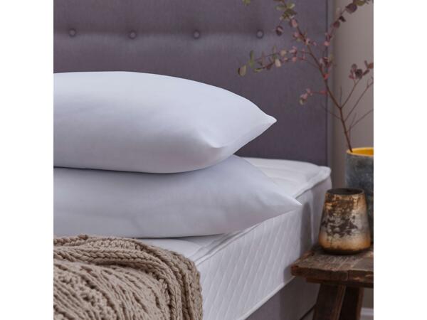 Winter Nights Pillow Pair