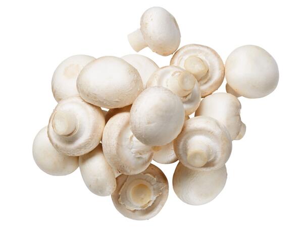 Champignons weiß
