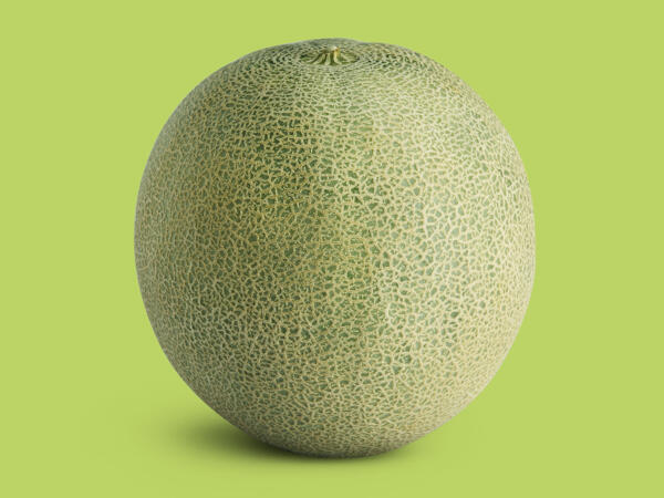 Cantaloupe Melon