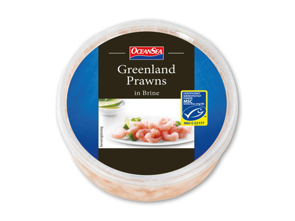 Store grønlandsrejer i lage