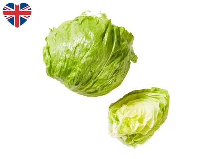British Iceberg Lettuce