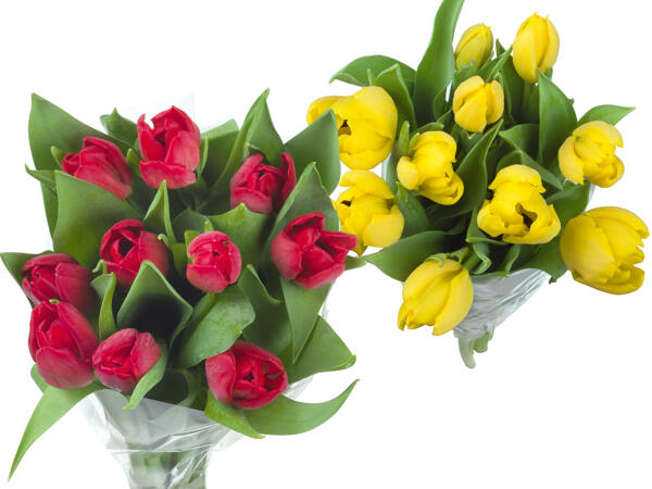 Tulpenstrauß