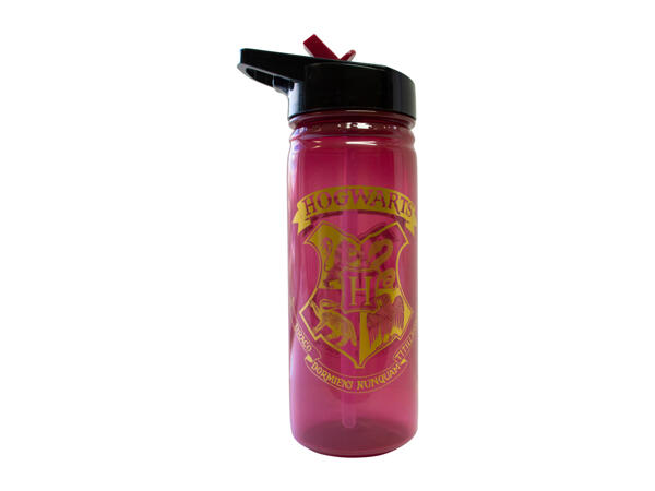 Zak 600ml Character Water Bottle