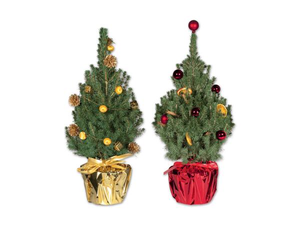 Zuckerhutfichte weihnachtlich dekoriert