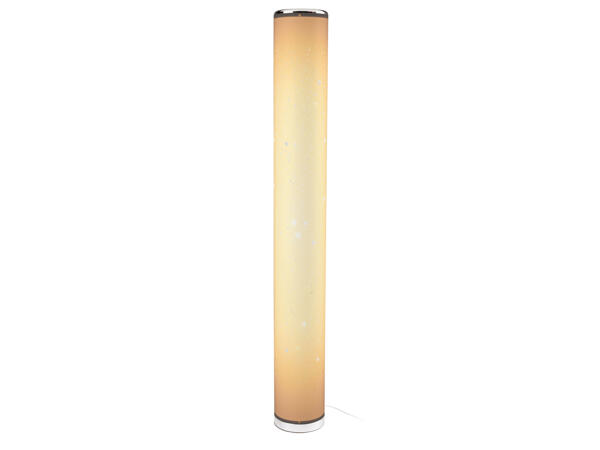 LED Floor Lamp