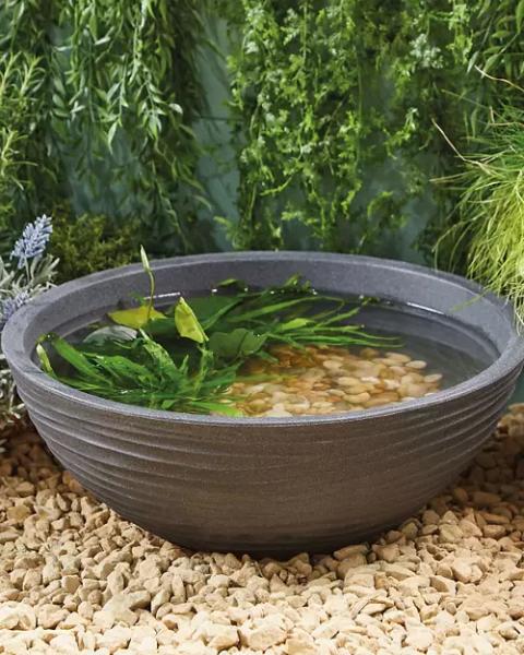 Plant Bowl