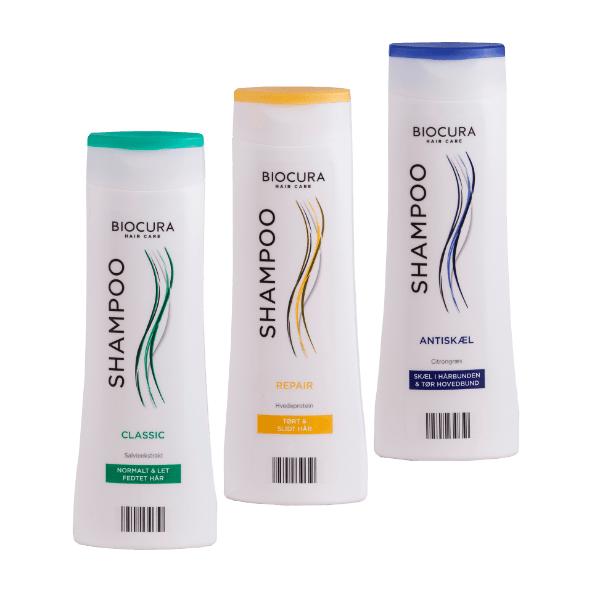 Shampoo