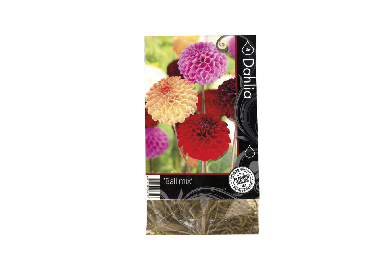 Premium Flowering Bulbs1