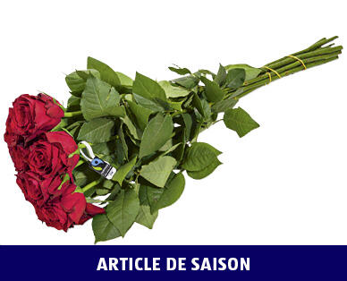 ROSES FAIRTRADE MAX HAVELAAR