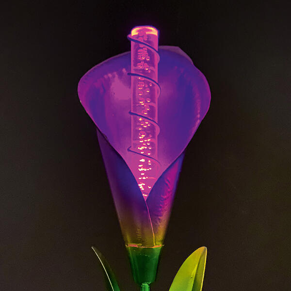 LED-Solar-Gartenstecker "Calla"
