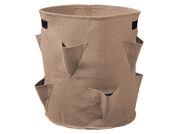 Grow Bags Set
