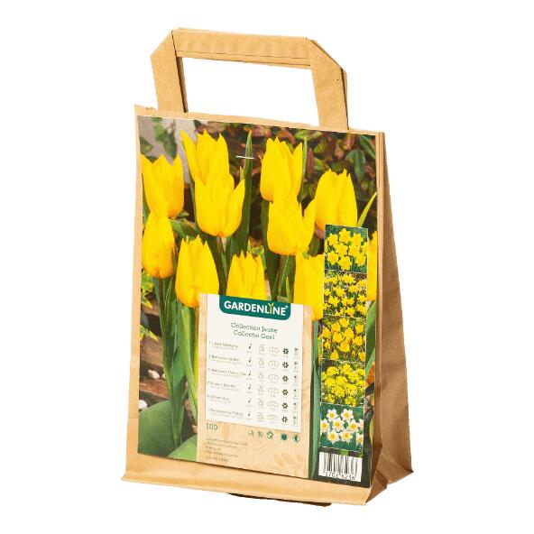 GARDENLINE(R) Bloembollen