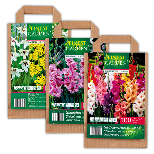Blumenzwiebeln in Papiertasche