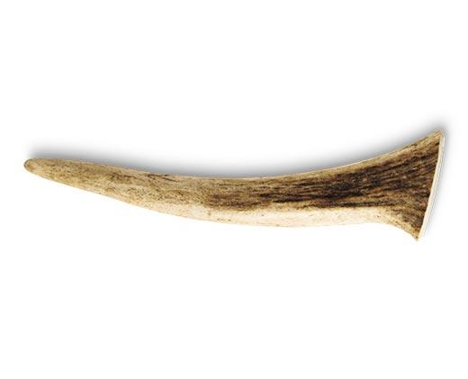 Pure Being
Whole or Split Antler