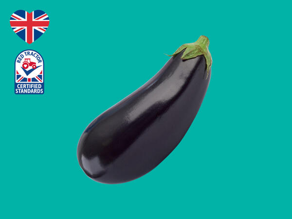 British Aubergine