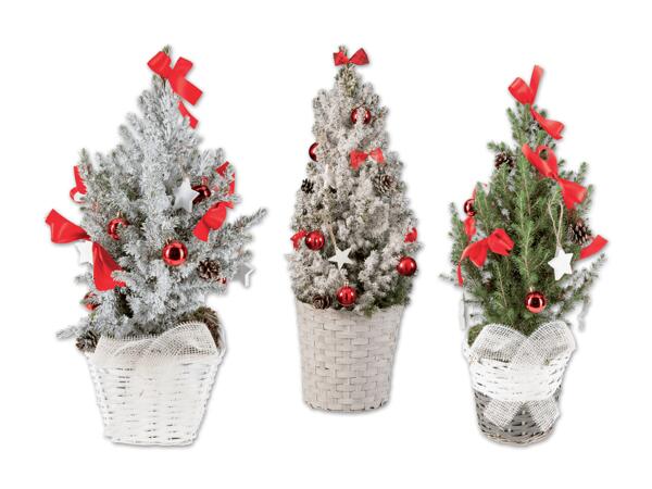 Weihnachtlich dekorierte Zuckerhutfichte