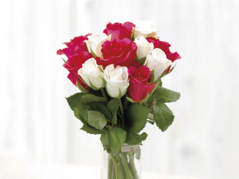 Sweetheart Roses