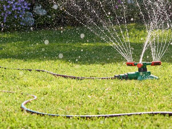 20m Garden Hose