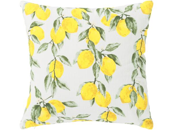 Cushion