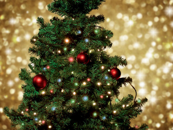 50 LED String Lights