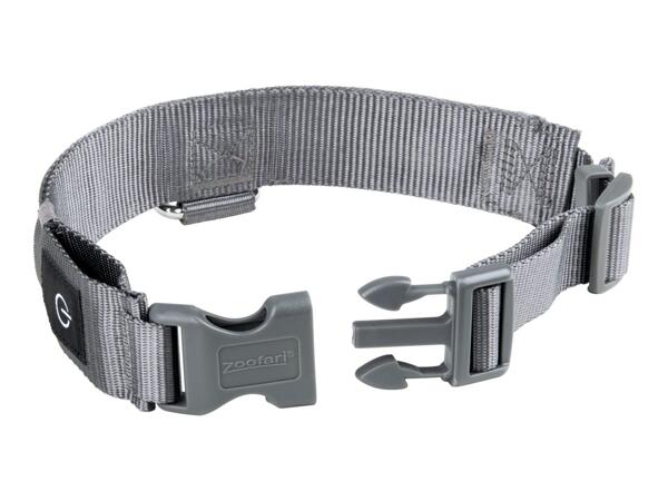 Zoofari LED Light-Up Band Dog Collar