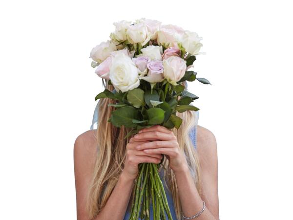 Roses premium pastel