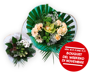 Bouquet regalo