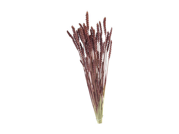 Dried Flower Decorations