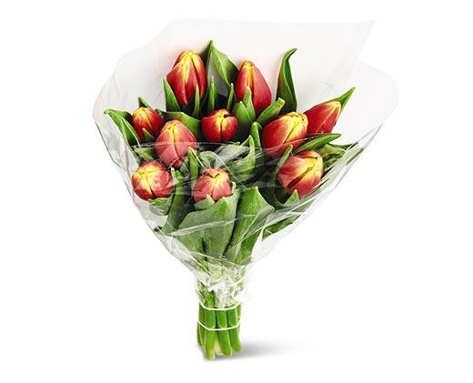 10-Stem Tulip Bouquet Assorted Colors