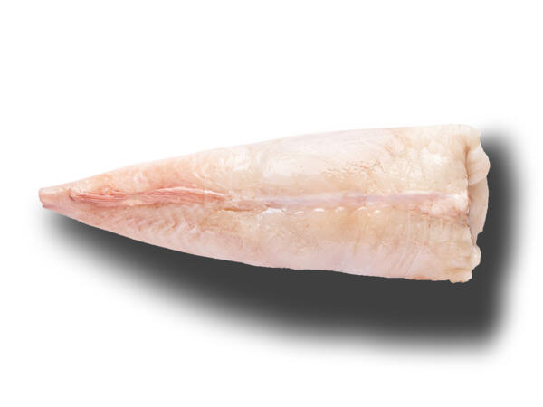 Filetto di rana pescatrice MSC
