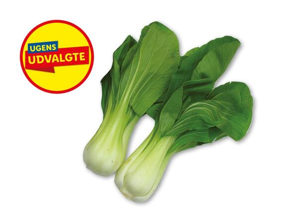 Pak choi
