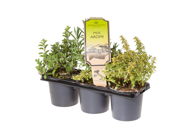 Herb Mix