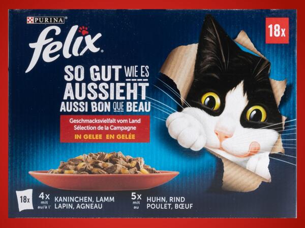 Premium Katzennassnahrung